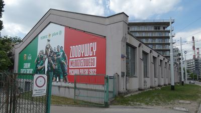 Kosynierka