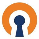 OpenVPN Logo