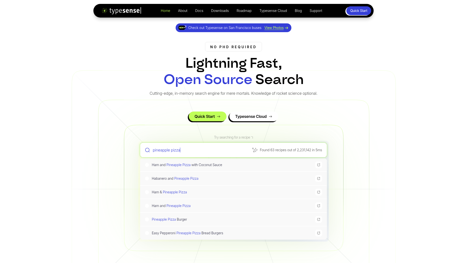 Typesense Screenshot