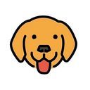 Bruno Logo