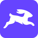 Directus Logo