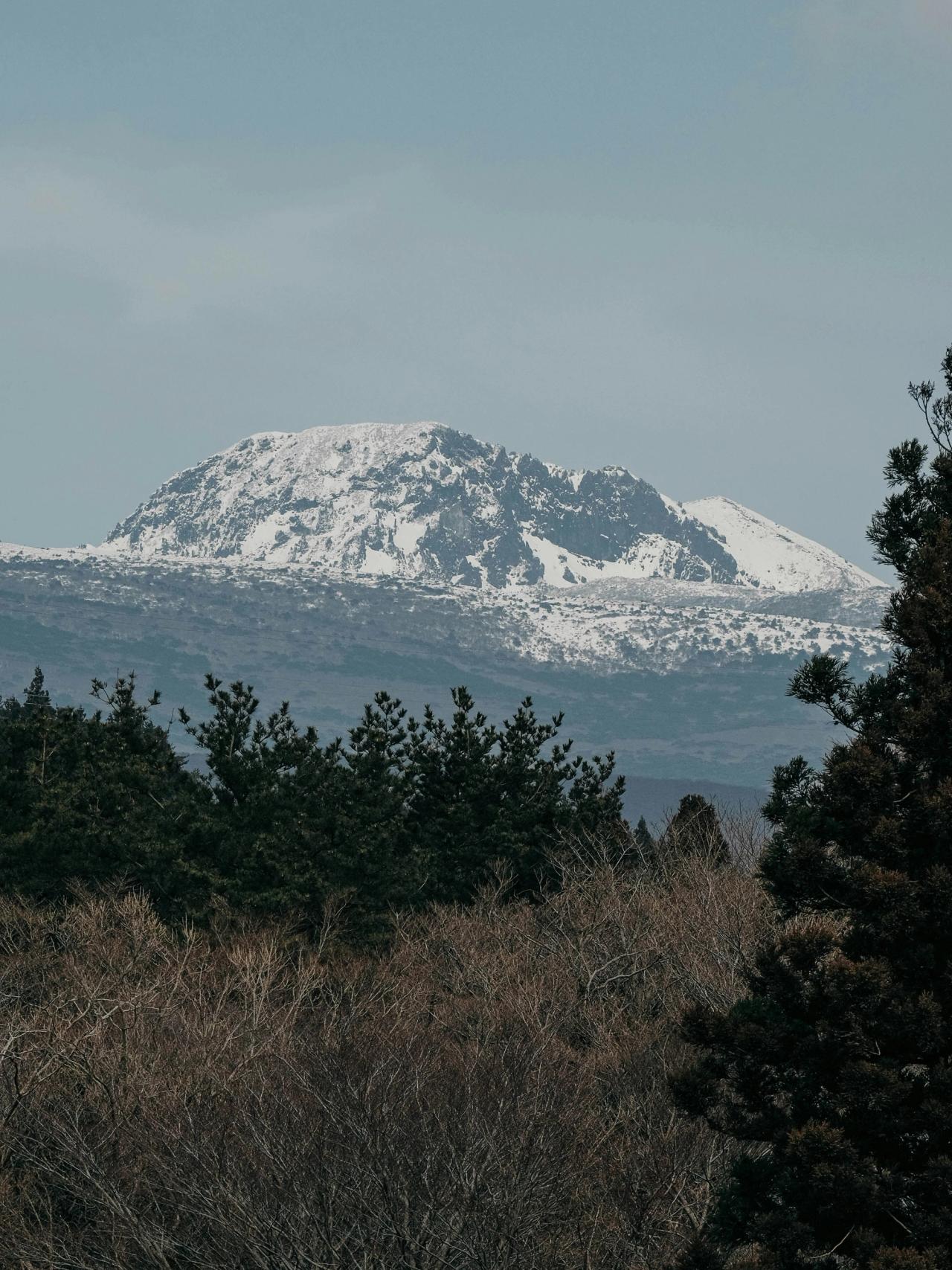 The snow line on Hallasan's upper slopes above winter forest under overcast skies