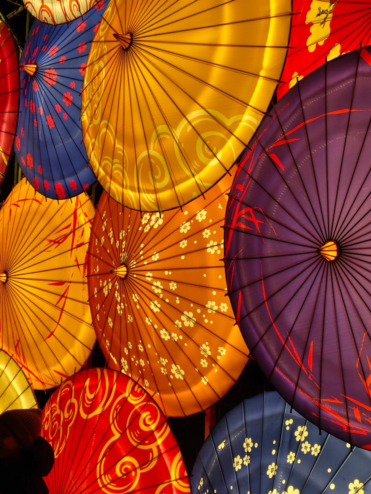 Japan in Lights 2025