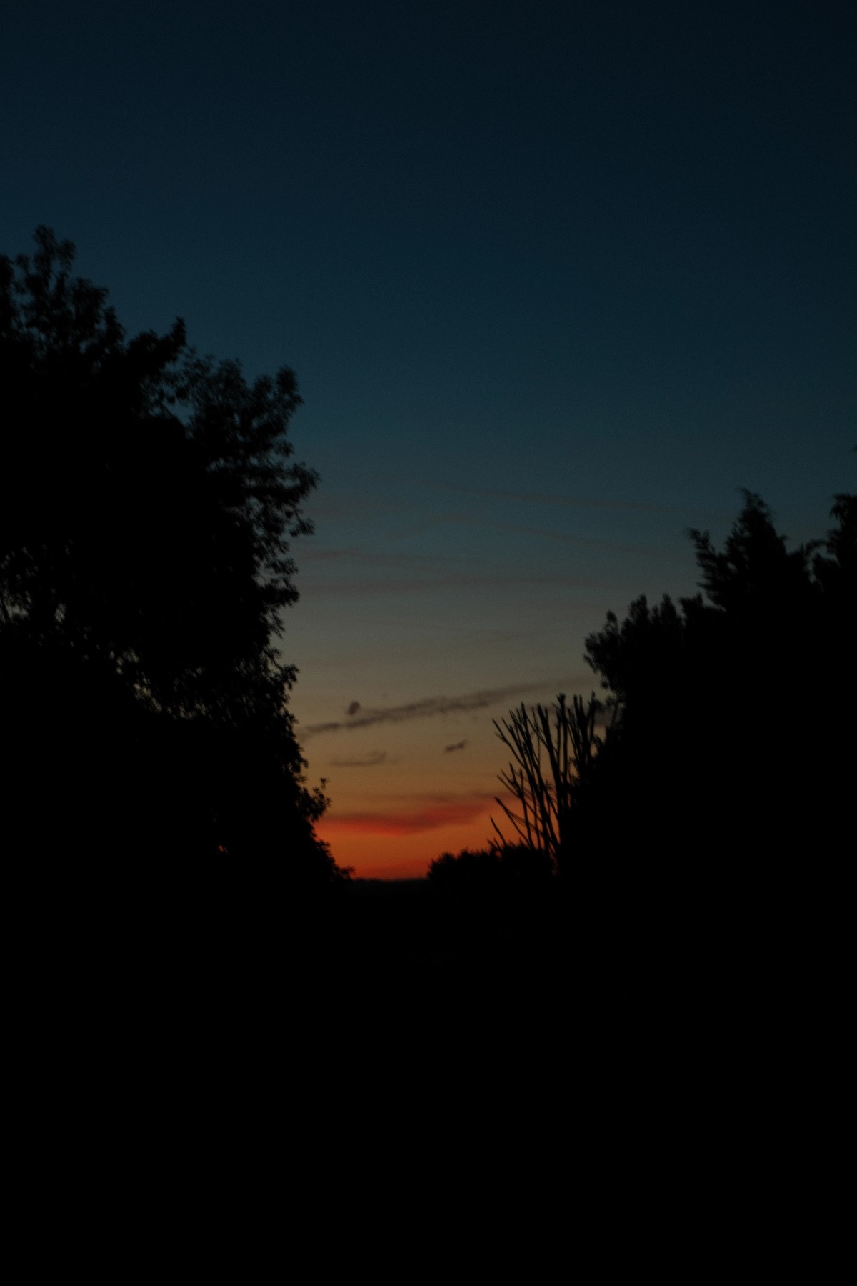 First photofilm