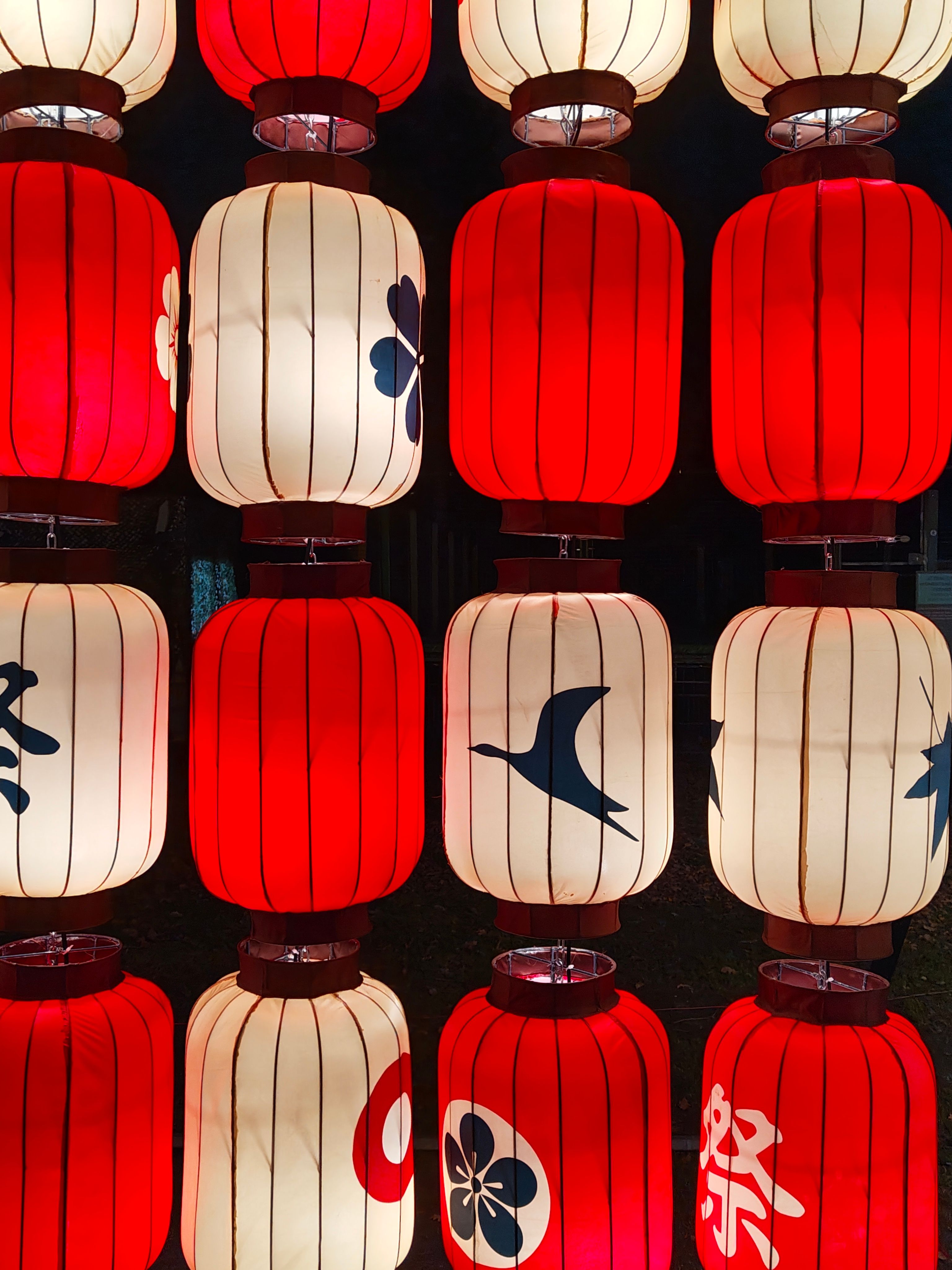 Japan in Lights 2025