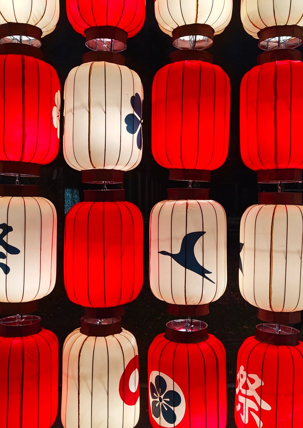 Japan in Lights 2025