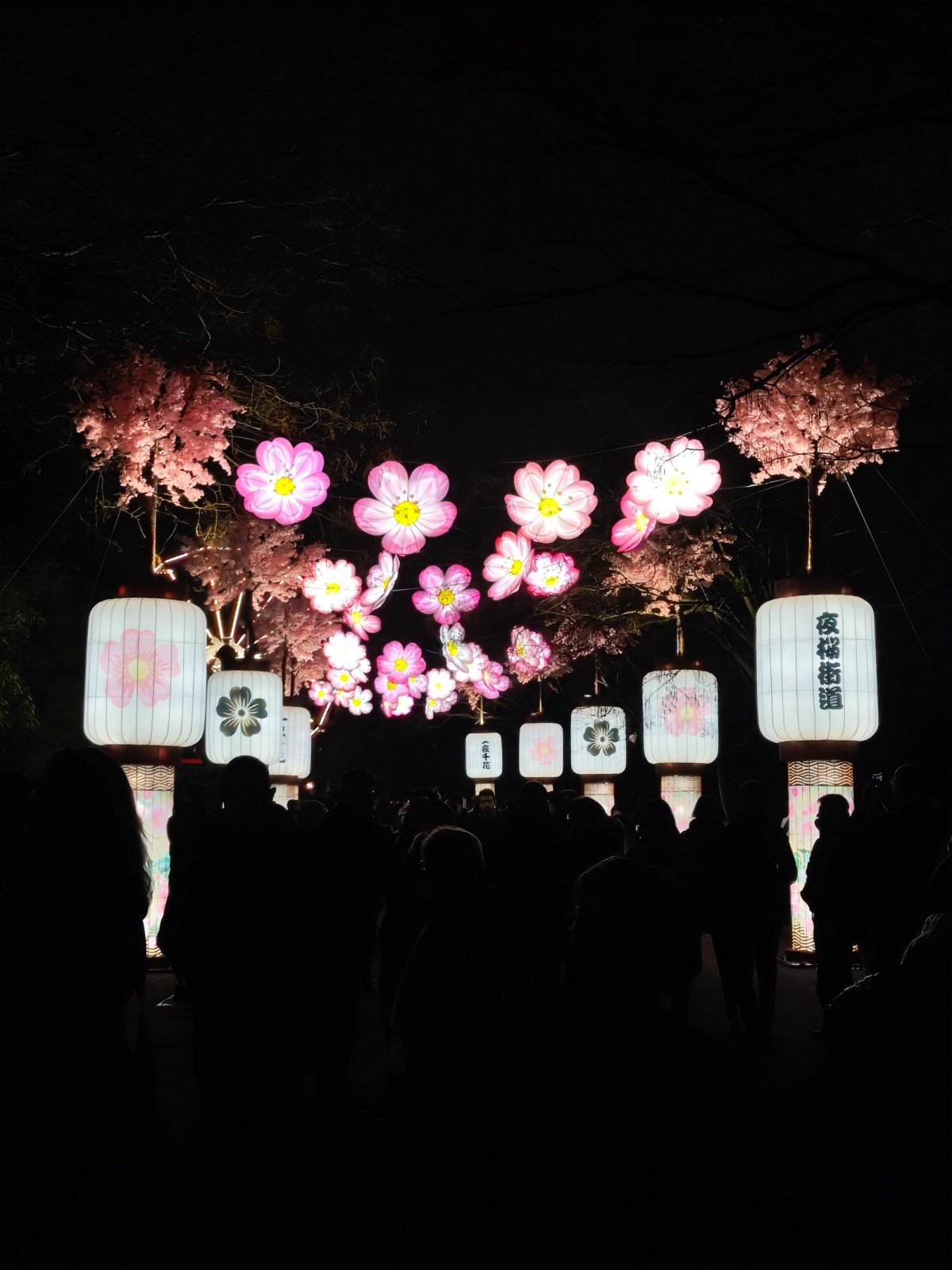 Japan in Lights 2025