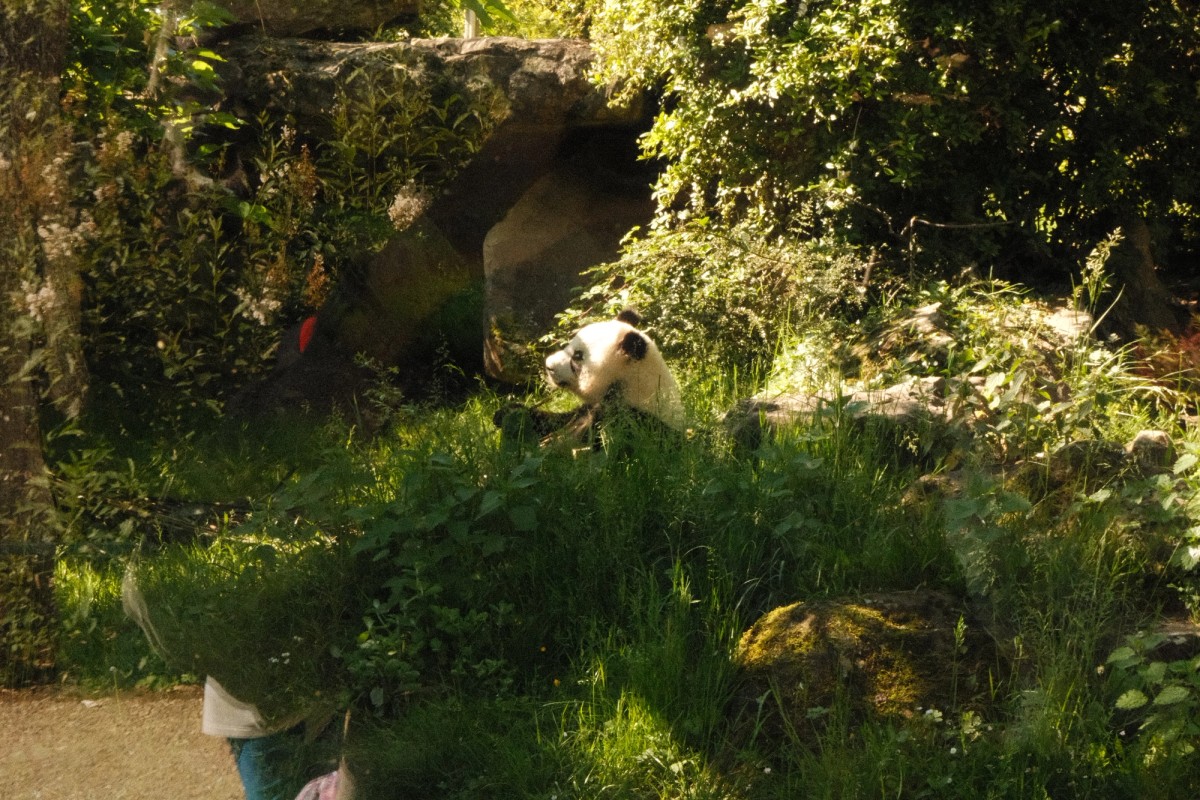 First photofilm