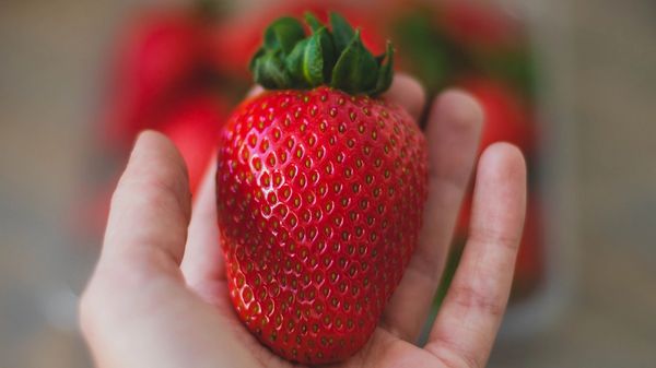 A hand holding a ripe strawberry.