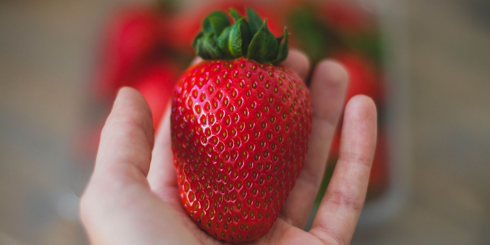 A hand holding a ripe strawberry.