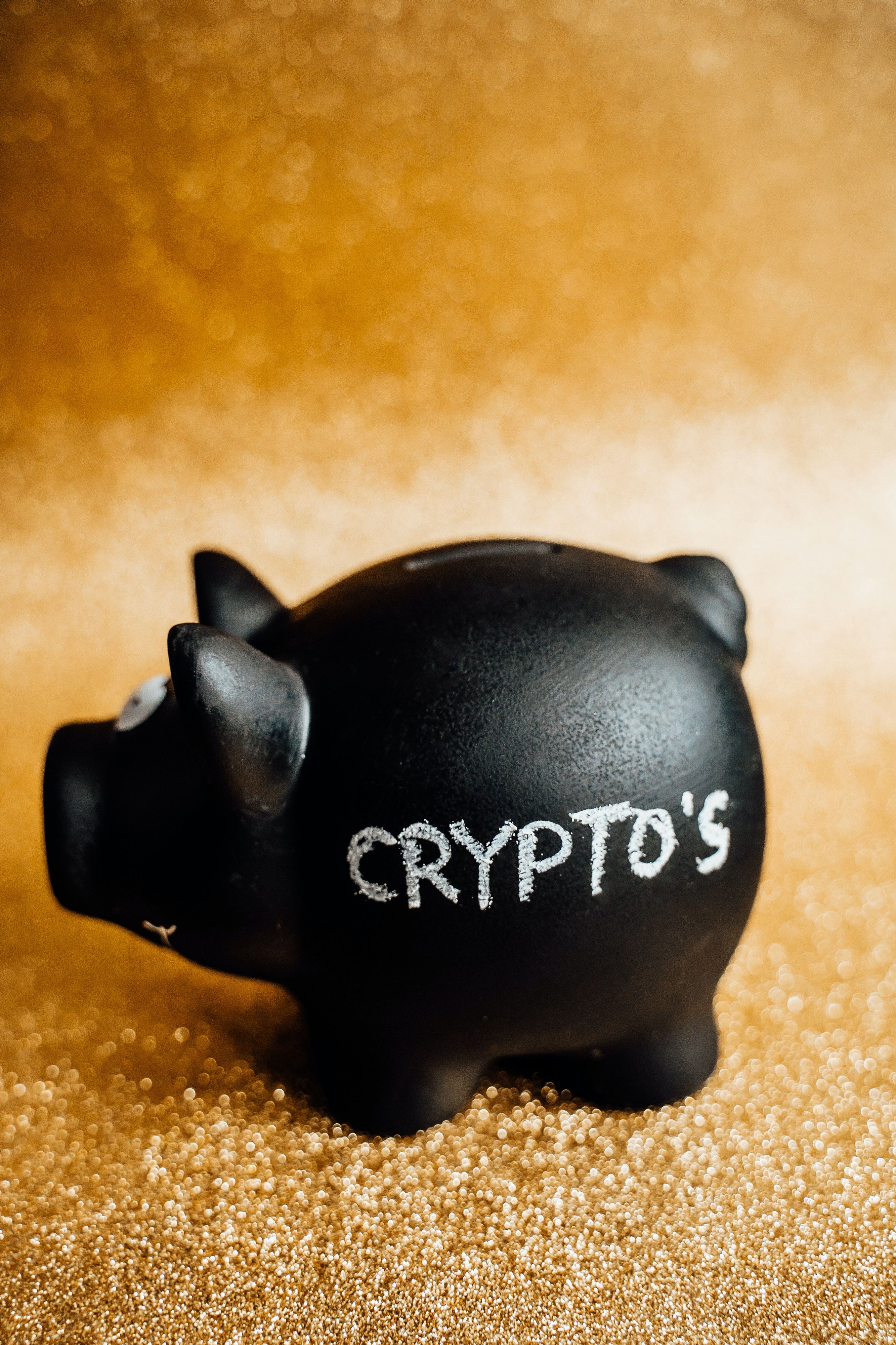Piggy bank with crypto