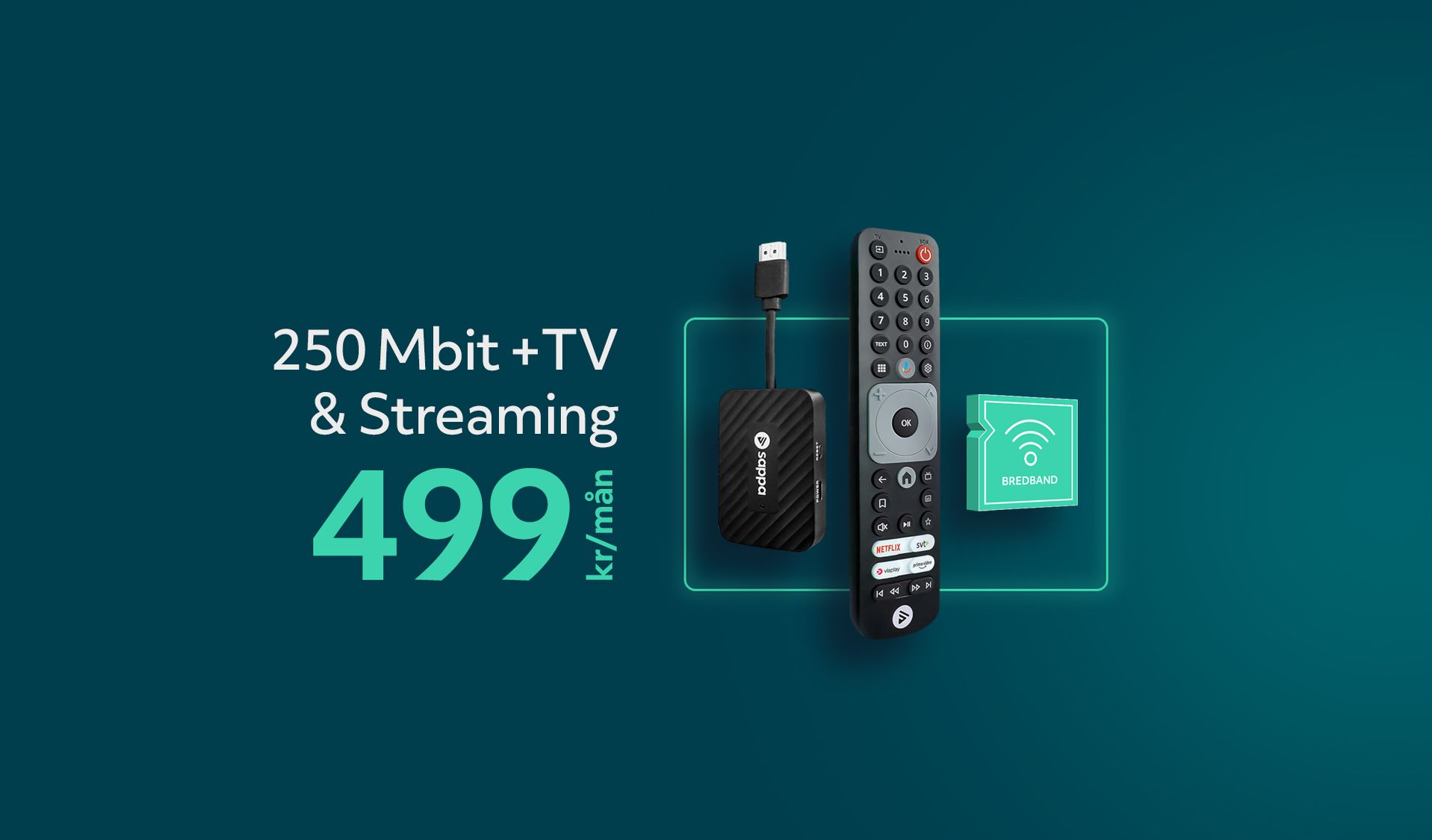 Bredband 250 + Sappa TV-Hub