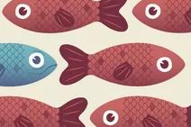 Sounds Fishy