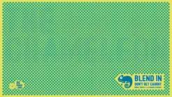 The Chameleon