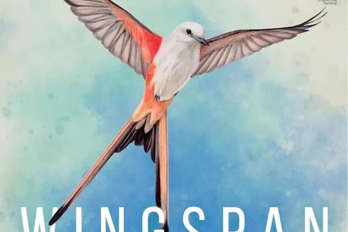 Wingspan