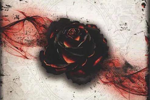 Black Rose Wars