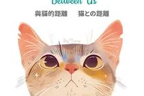 Cat Between Us