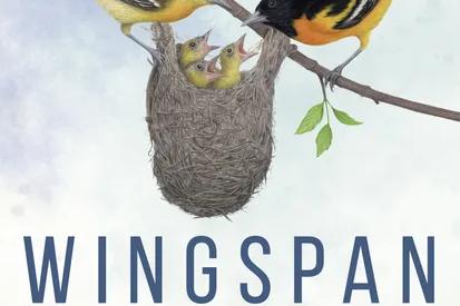 Wingspan Pocket