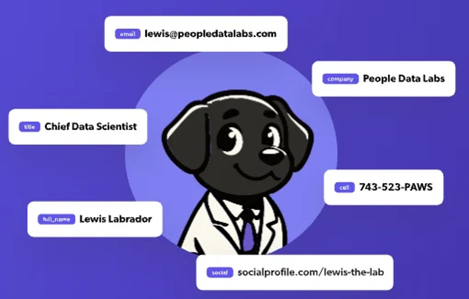 People Data Labs profile illustration with labeled fields.