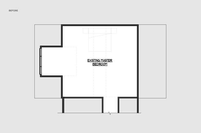 Birdwatcher's Delight in Howard County, MD before Master Bedroom renovation