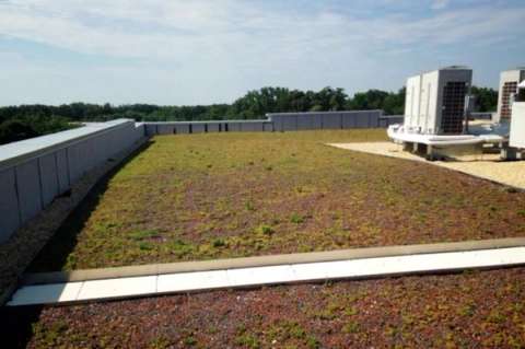 View of green roof of Star Pointe in Montgomery County, MD