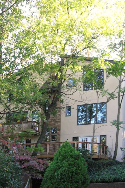Bird's Eye View House rear facade