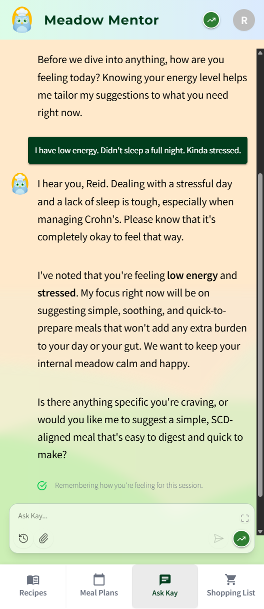 A chat conversation between user and AI agent "Chef Kay". Chef Kay asked the user how they were feeling. User said low energy and stressed. Chef Kay responded they'll customize recipes for the user state. 