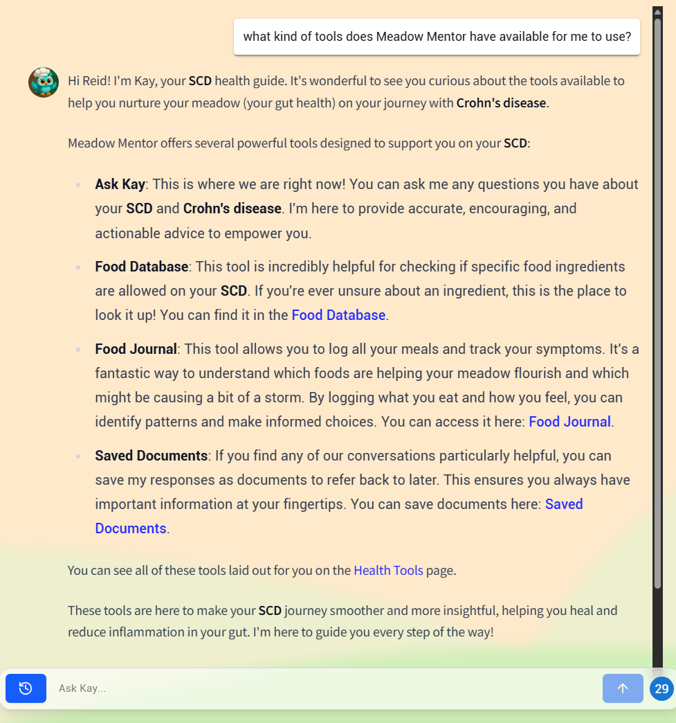Meadow Mentor text AI response is app-aware