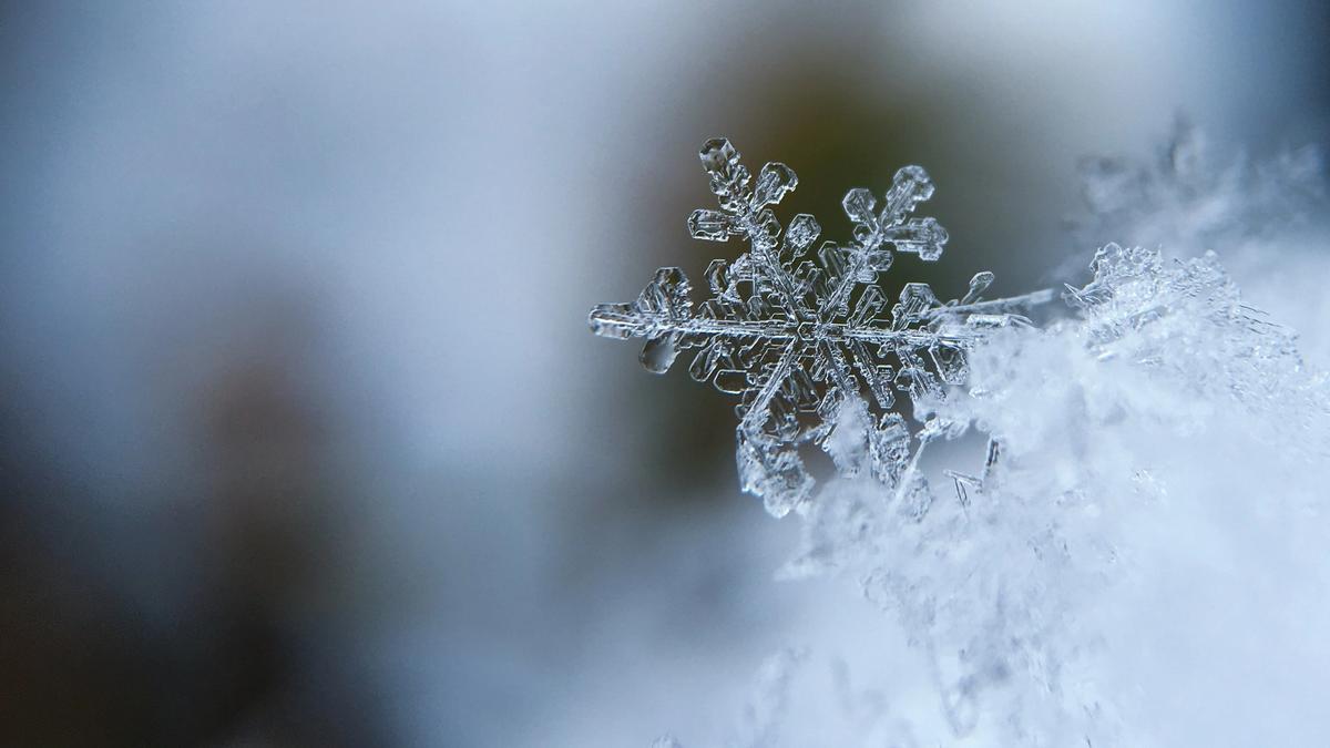 Upcoming Winter Season Happenings