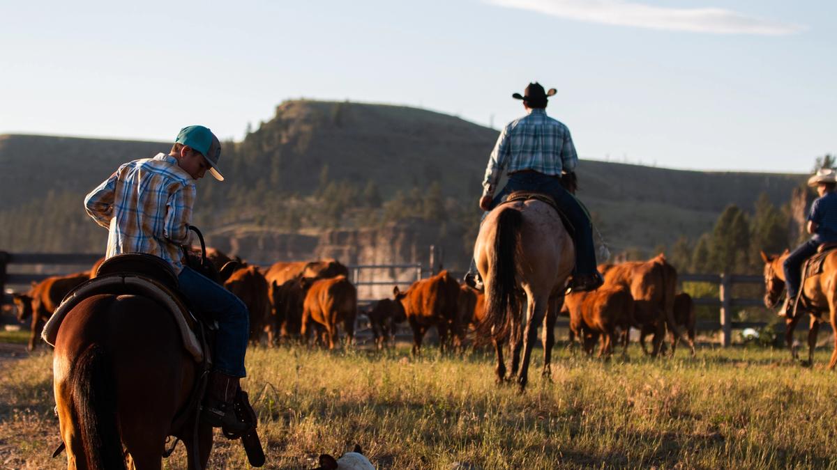 Harvest Party at Rock Bottom Ranch