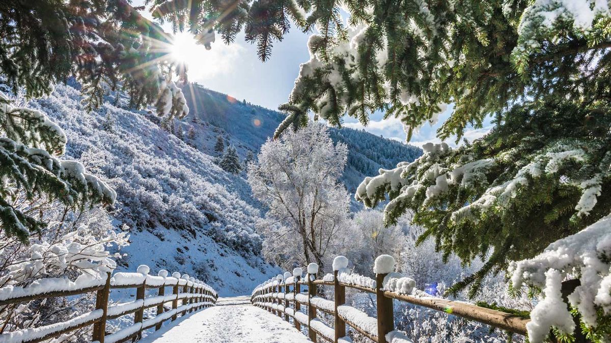 Aspen Snowmass Community Efforts