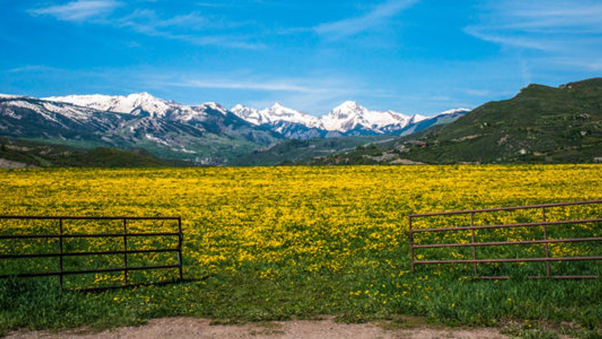 Spring 2019 Off Season Happenings