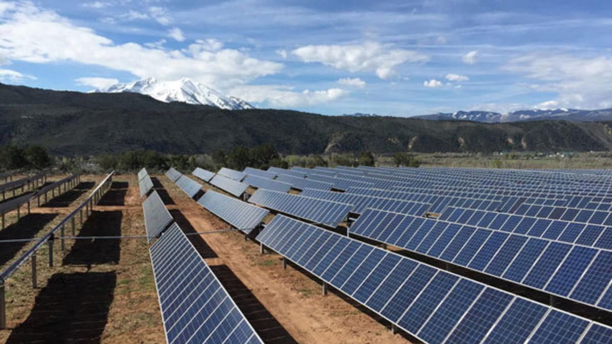 Selling Sustainability By Katie Shapiro