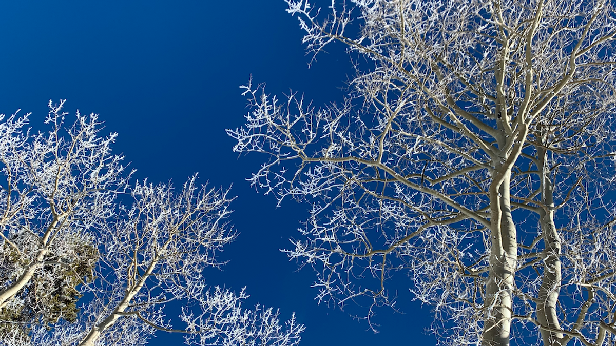 January 2021 In Aspen Snowmass