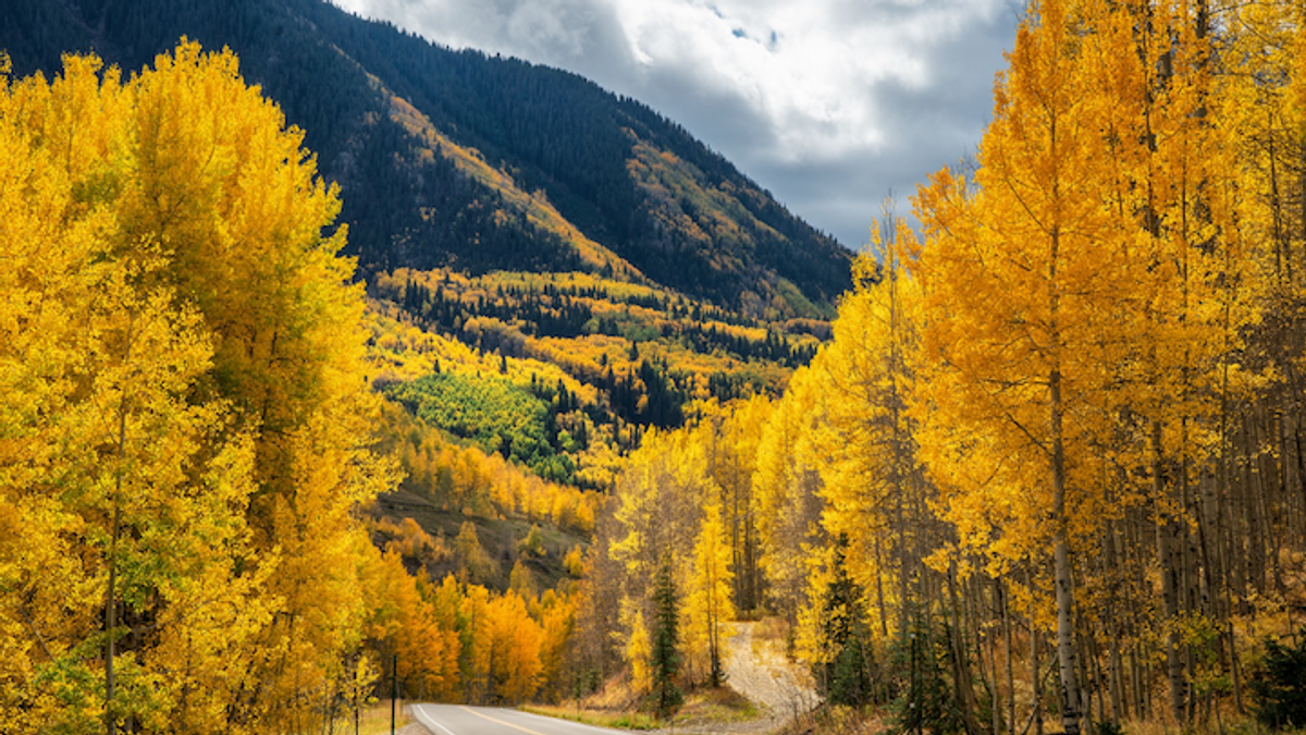 Early Off-Season Updates: Remaining Events, Leaf-Peeping Spots, Road Closures & Restaurant Closures
