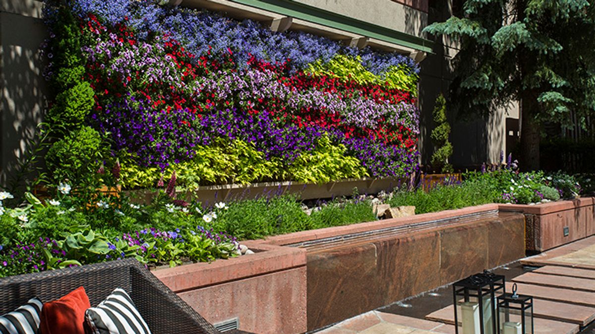 Garden Goals: Behind The Design Of The Little Nell's Famed Living Wall by Katie Shapiro