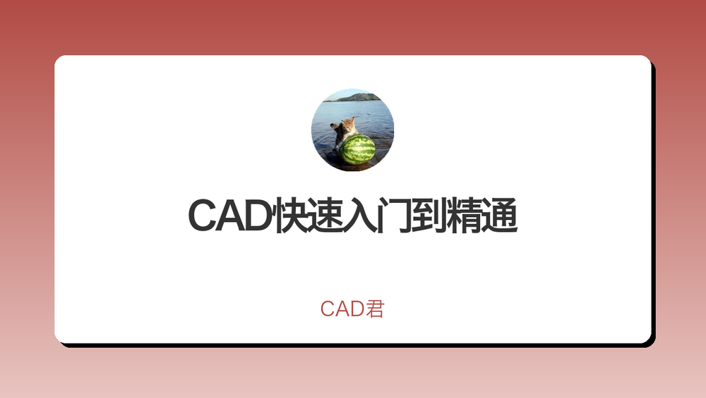 CAD快速入门到精通 封面