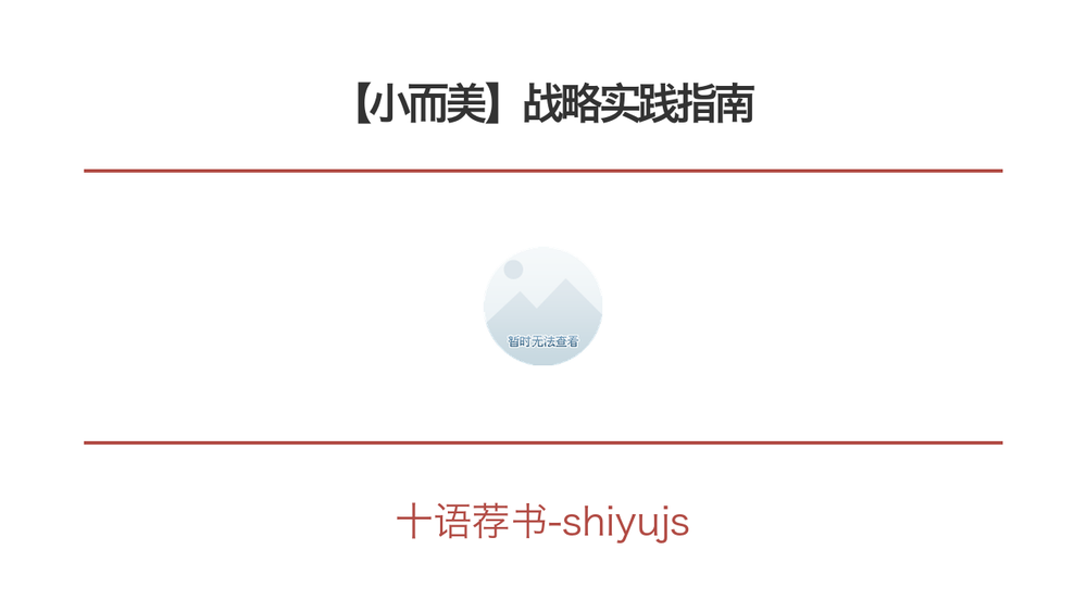 【小而美】战略实践指南 封面
