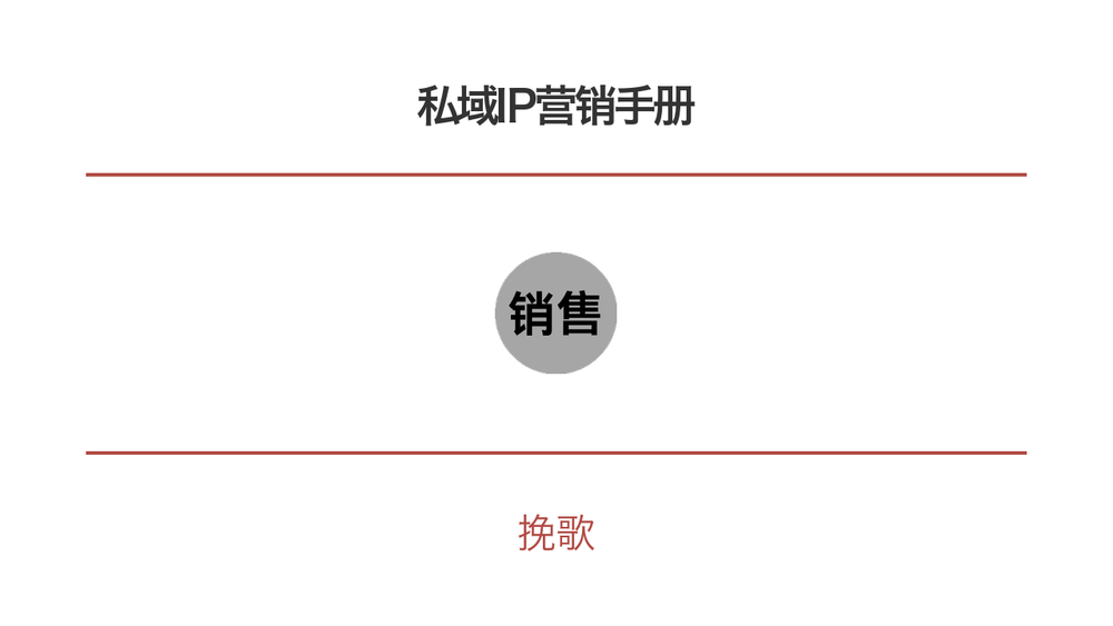私域IP营销手册 封面