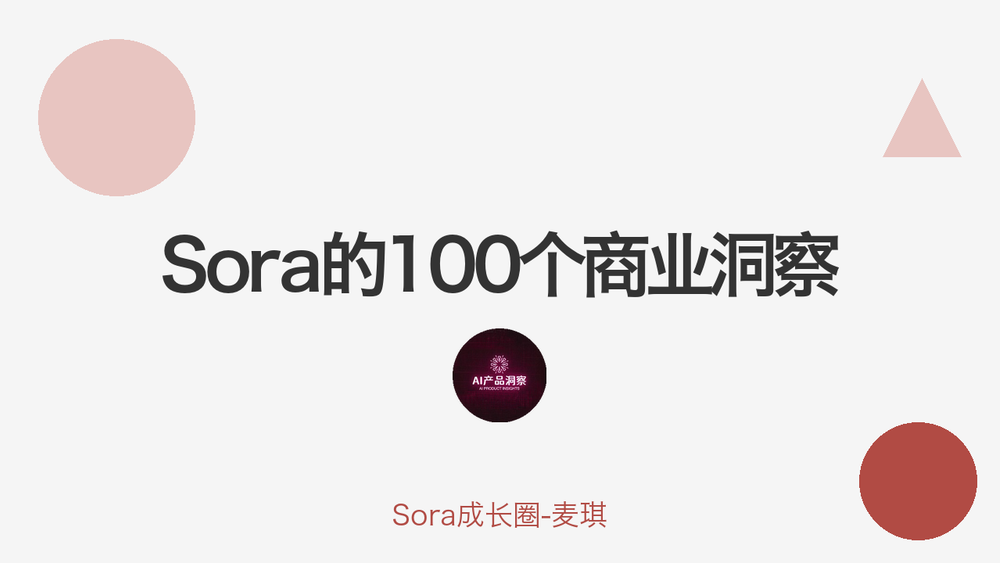 Sora的100个商业洞察 封面