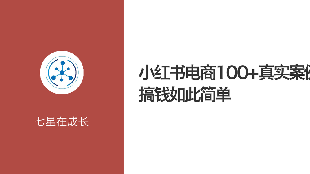 小红书电商100+真实案例，搞钱如此简单 封面