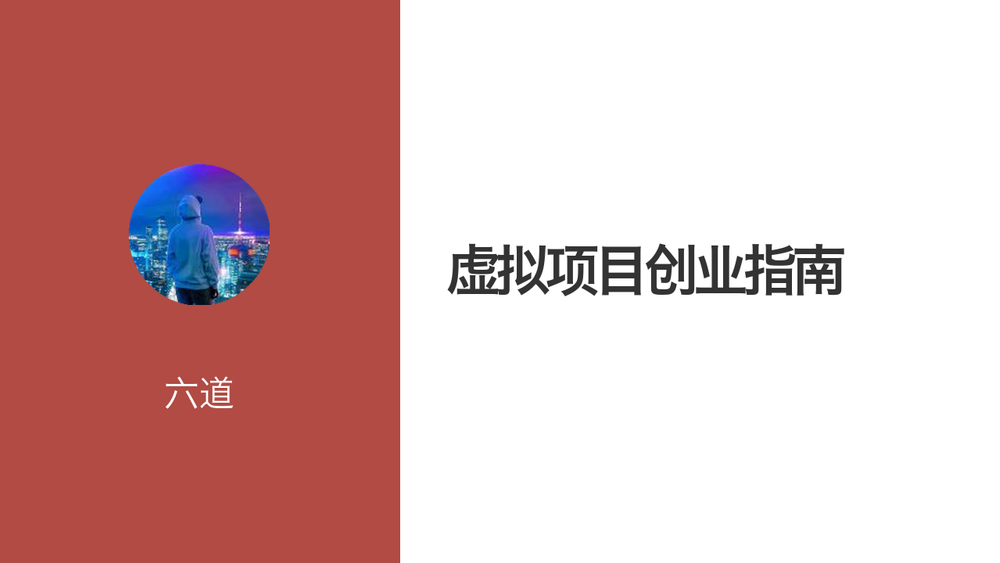 虚拟项目创业指南 封面
