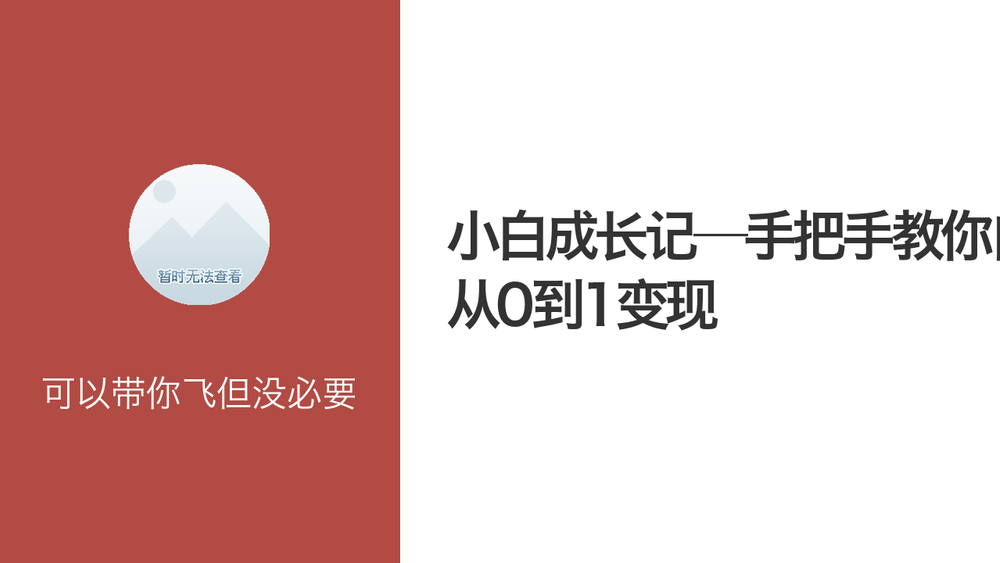 小白成长记—手把手教你自媒体从0到1变现 封面