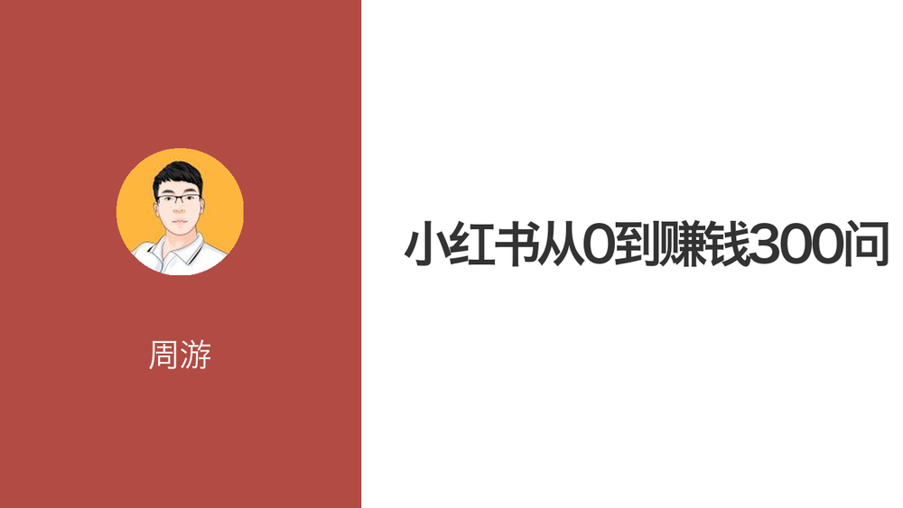 小红书从0到赚钱300问 封面