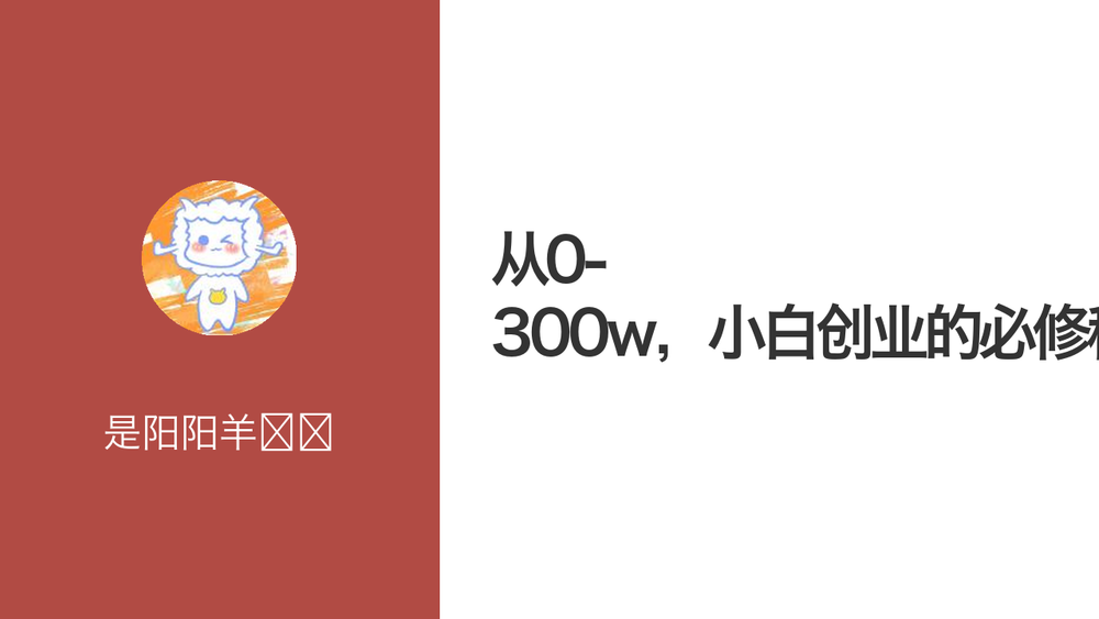 从0-300w，小白创业的必修秘籍 封面