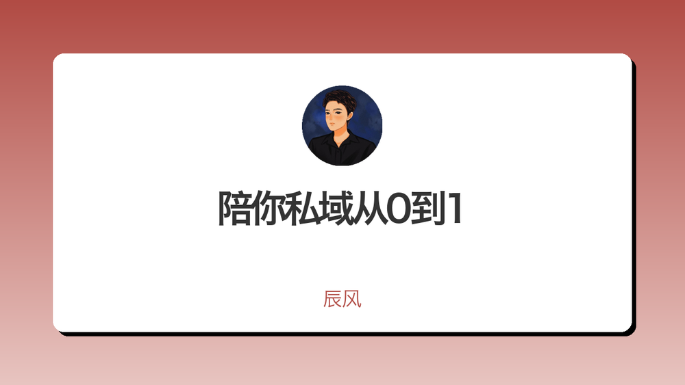 陪你私域从0到1 封面