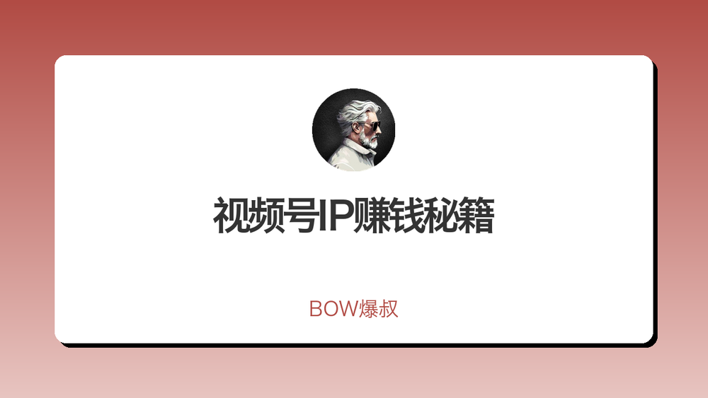 视频号IP赚钱秘籍 封面