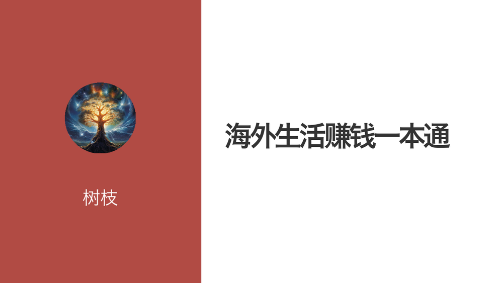 海外生活赚钱一本通 封面