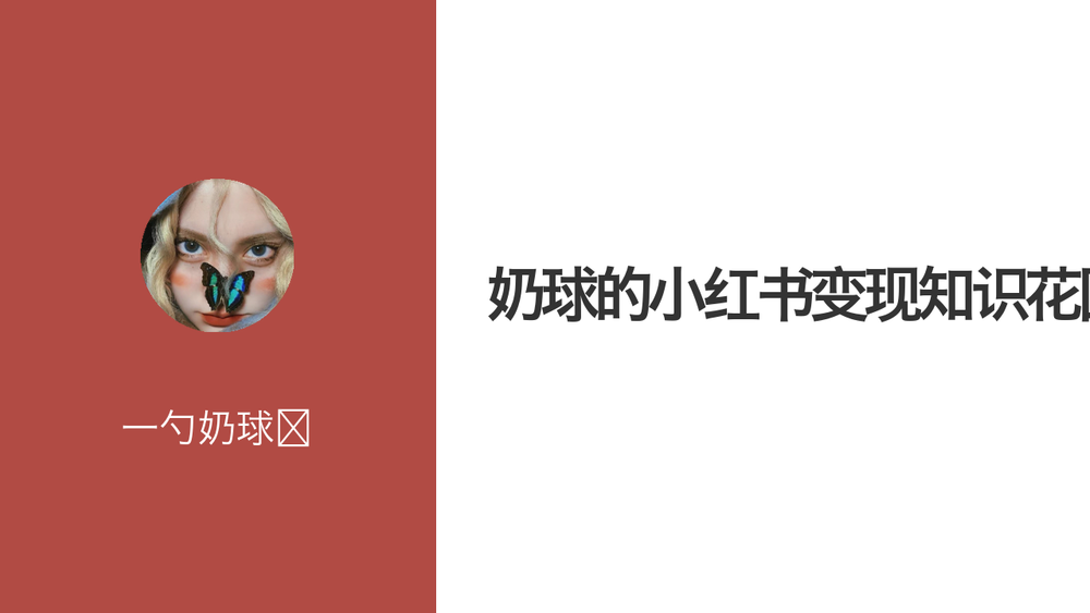 奶球的小红书变现知识花园 封面