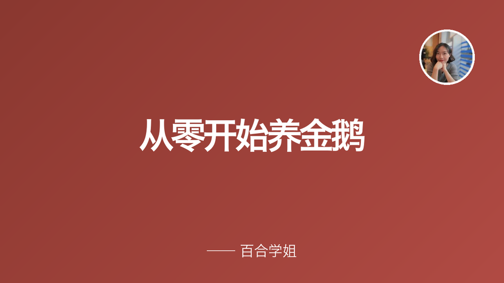 从零开始养金鹅 封面